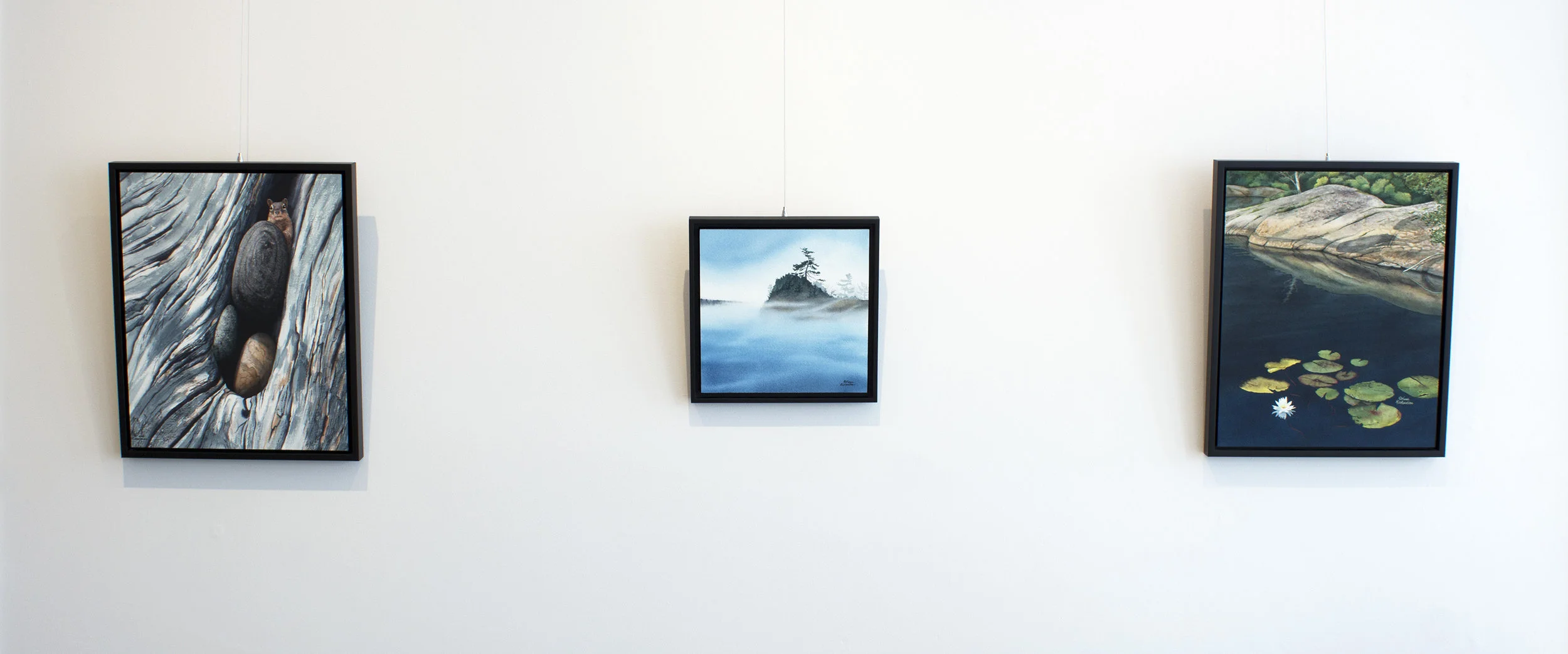 Karen Richardson, The North, Naturally, installation view