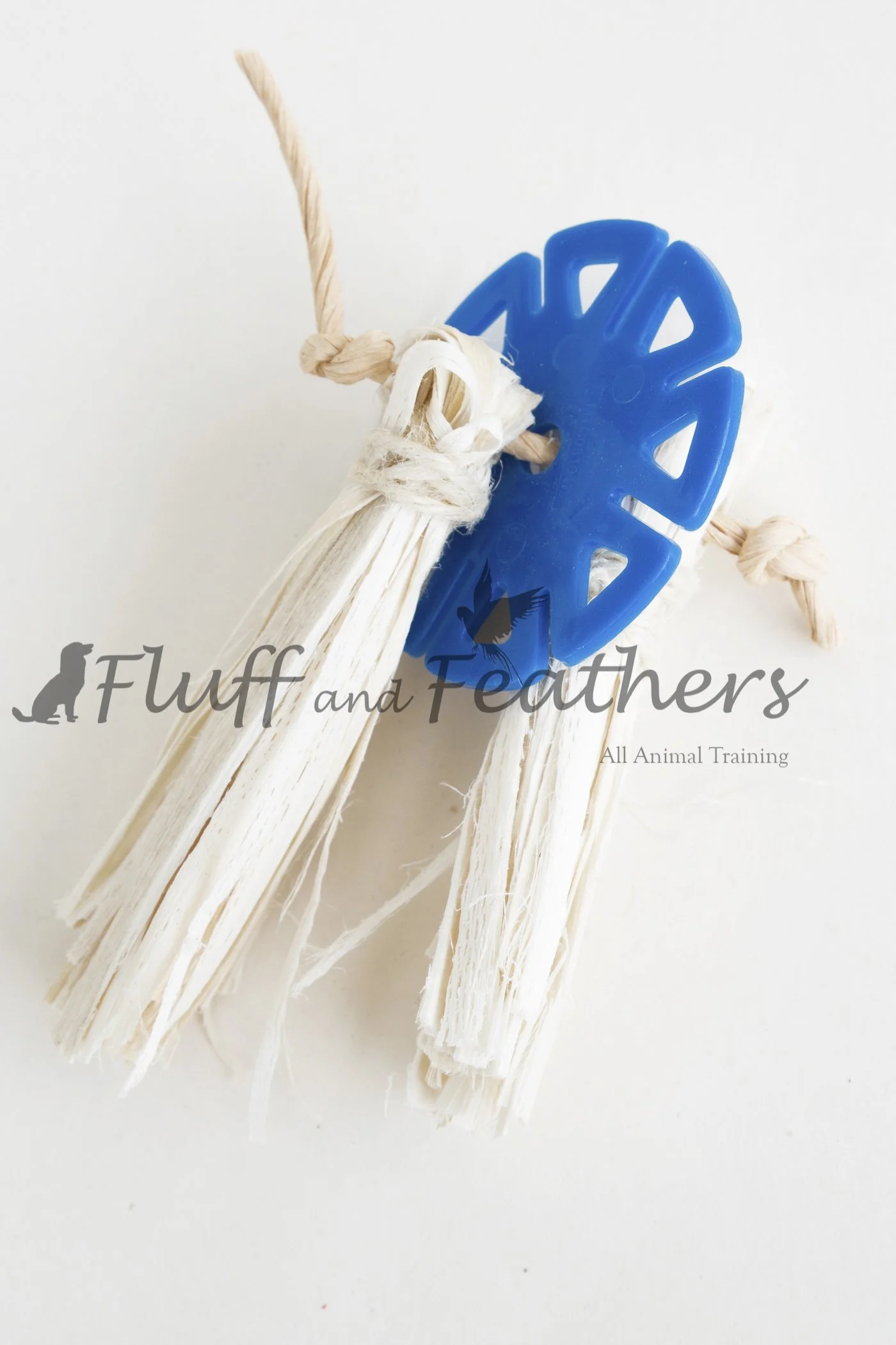 FFF008 3.jpg (Copy)