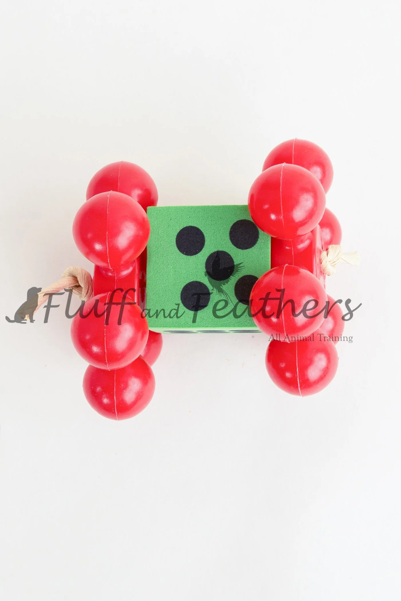 FFF010 1.jpg (Copy)