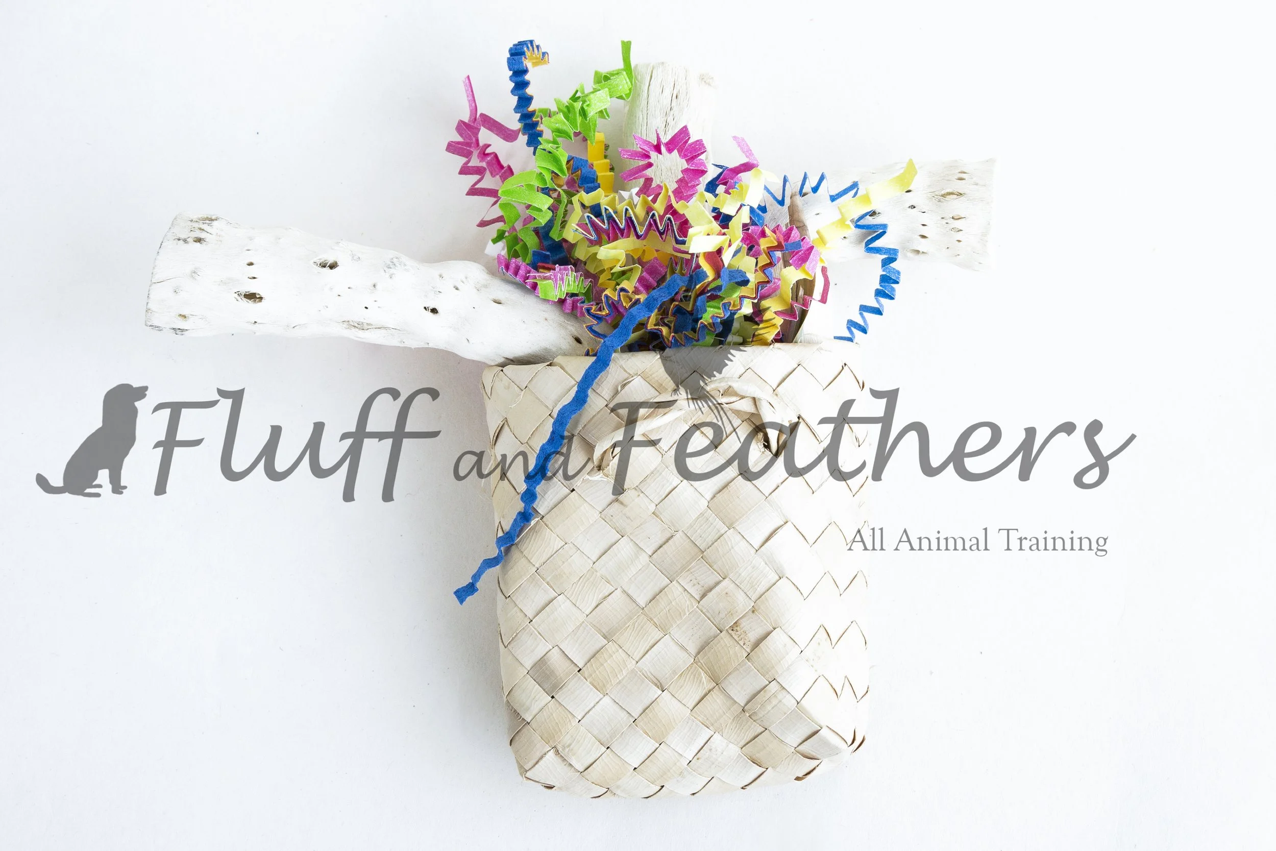 FFF027 2.jpg (Copy)