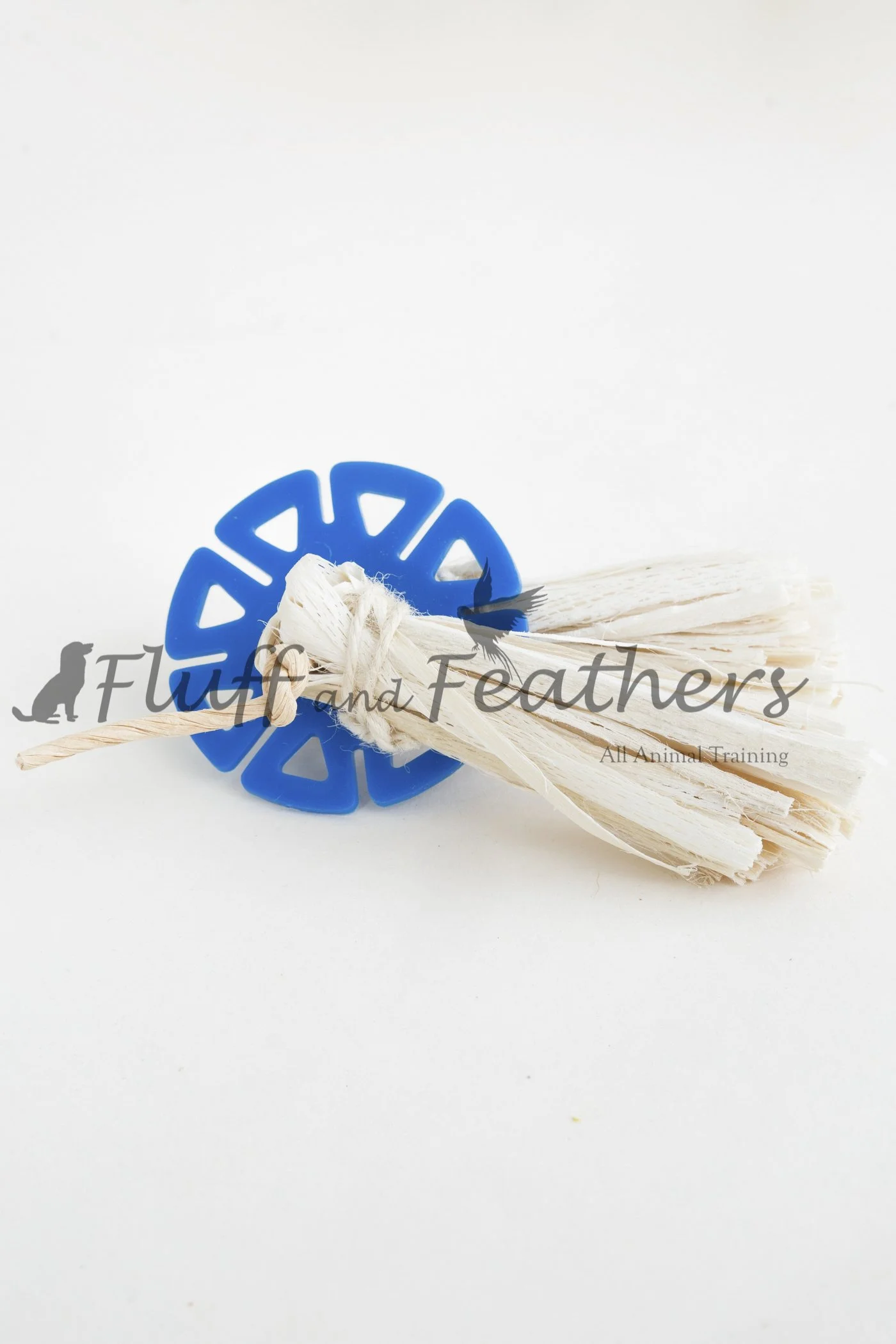 FFF008 2.jpg (Copy)