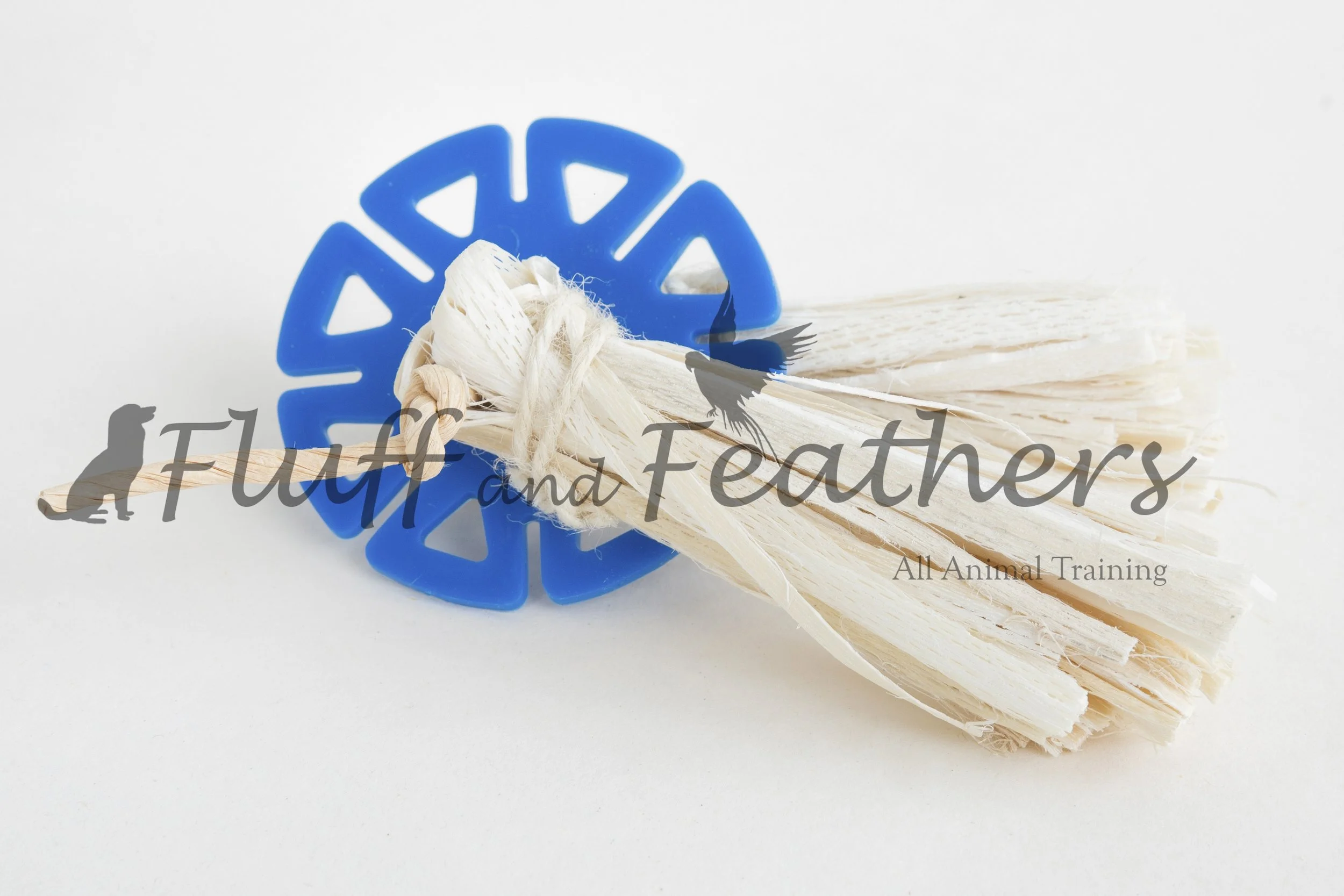 FFF008 1.jpg (Copy)