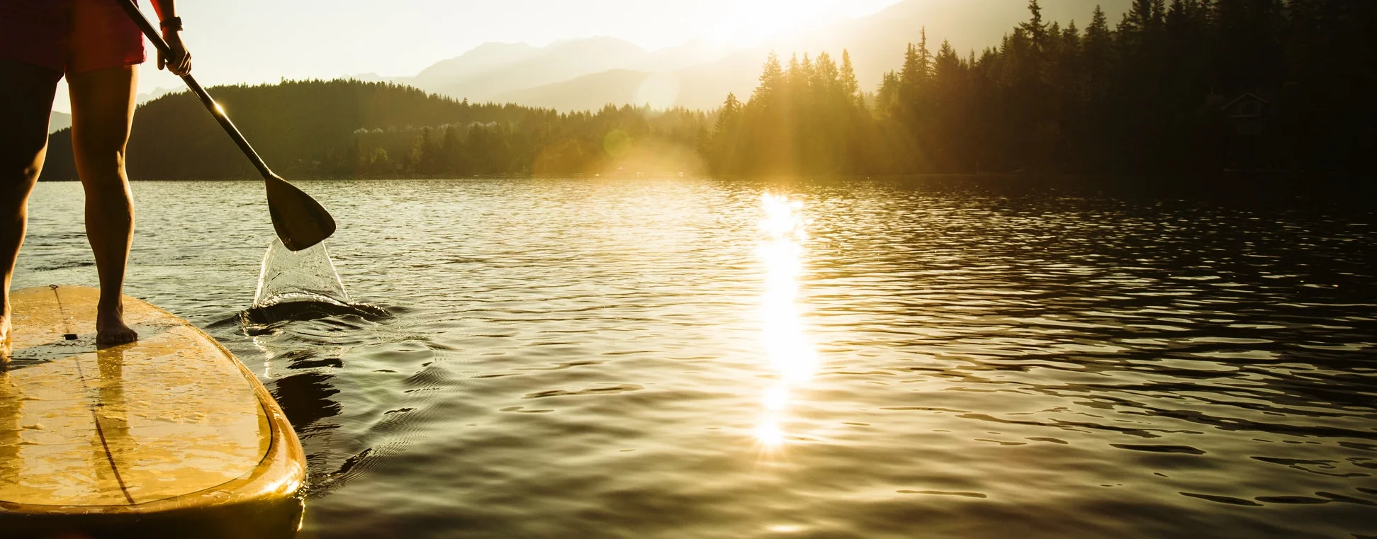 iStock-479586660.jpg