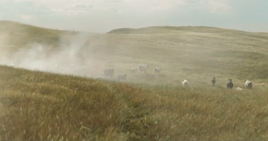 Skärmavbild 2019-12-12 kl. 15.06.26.png