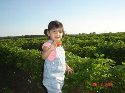 Neelam Strawberry.jpg