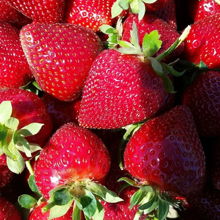 strawberry.jpg