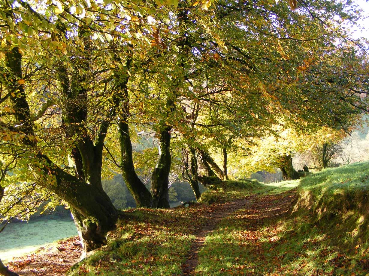 Love-North-Devon-Enviroment-5.jpg