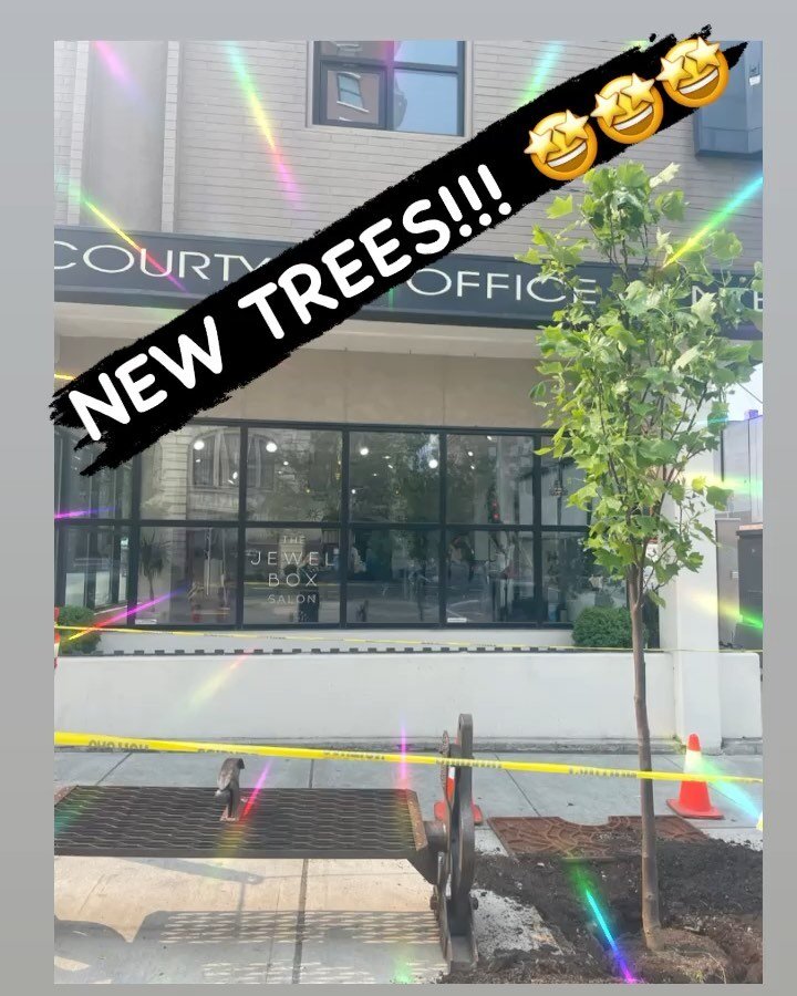 We are SOOO EXCITED- we love plants, and after 3 years finally got new trees!! 🌳🌿🌱🤩🤩🤩
