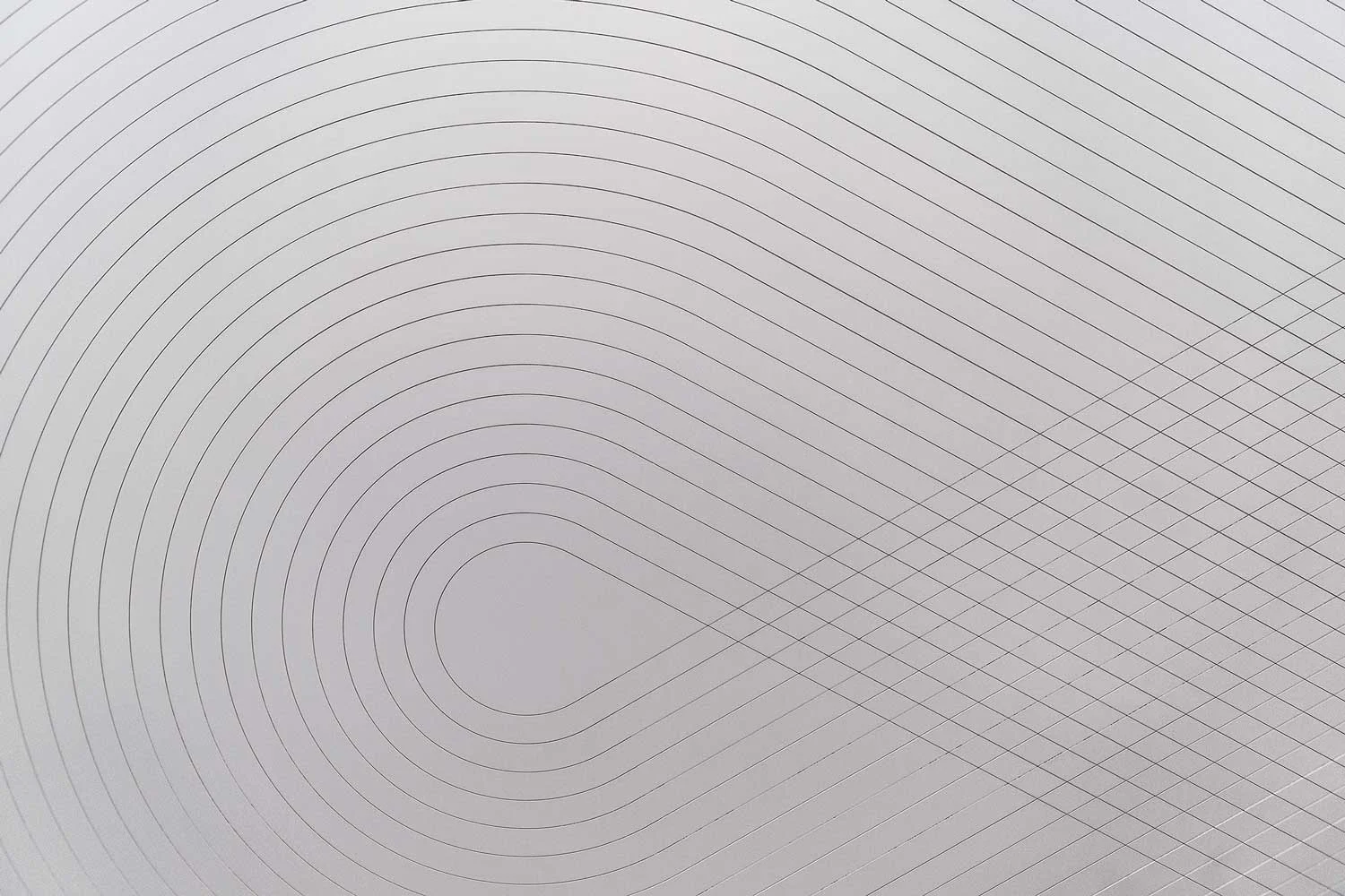 WET_NR_2017_19_Surface_spiral_web.jpg