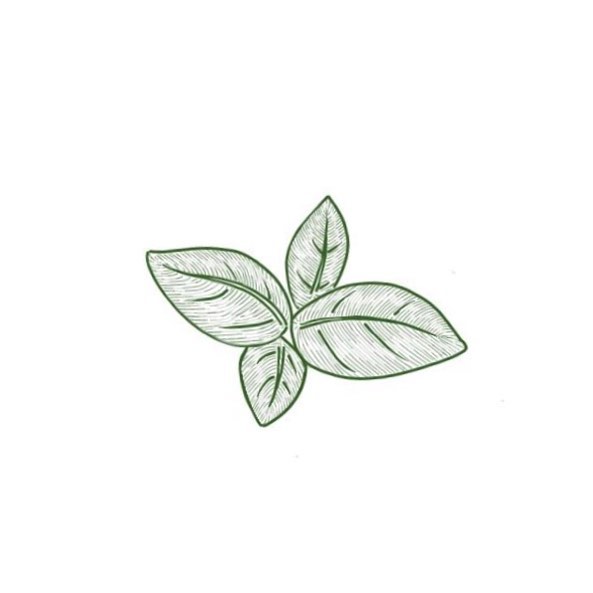 🌱