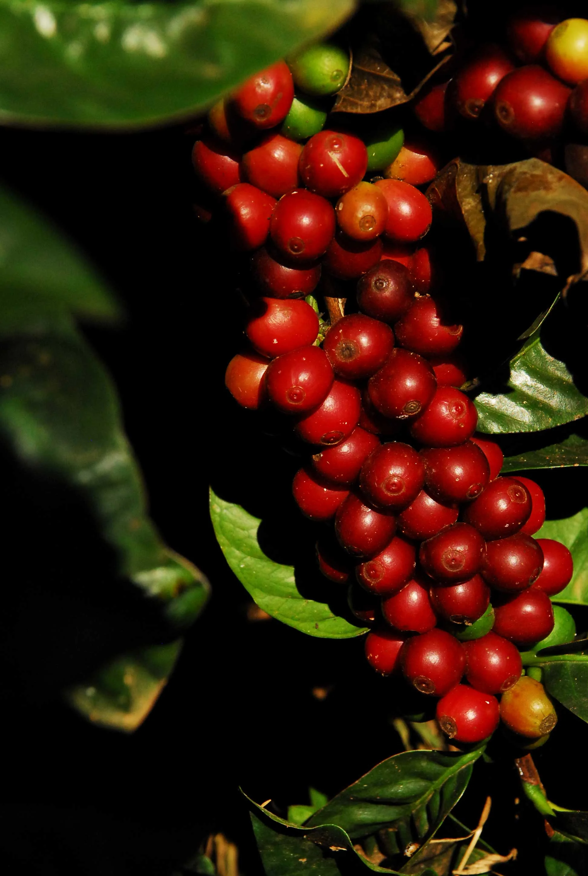 Fazenda-Progresso-13-1.jpg