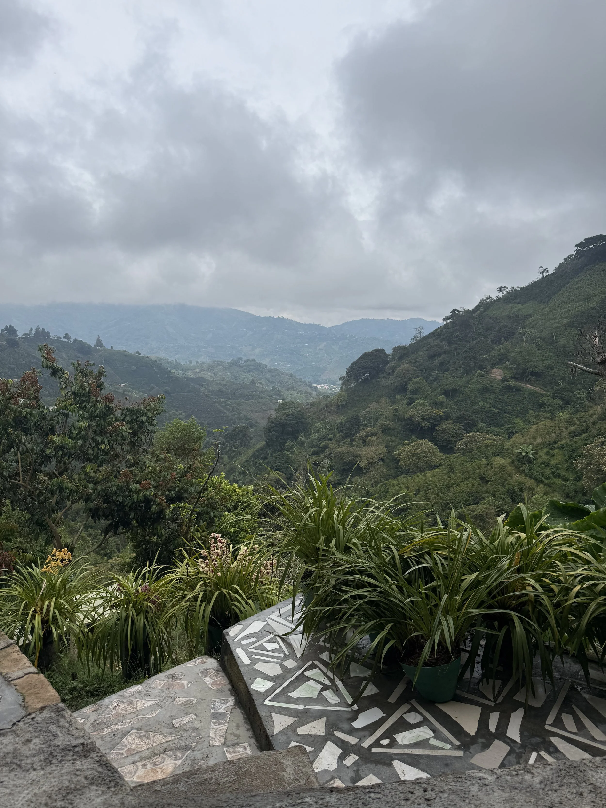 IMG_8883.jpeg