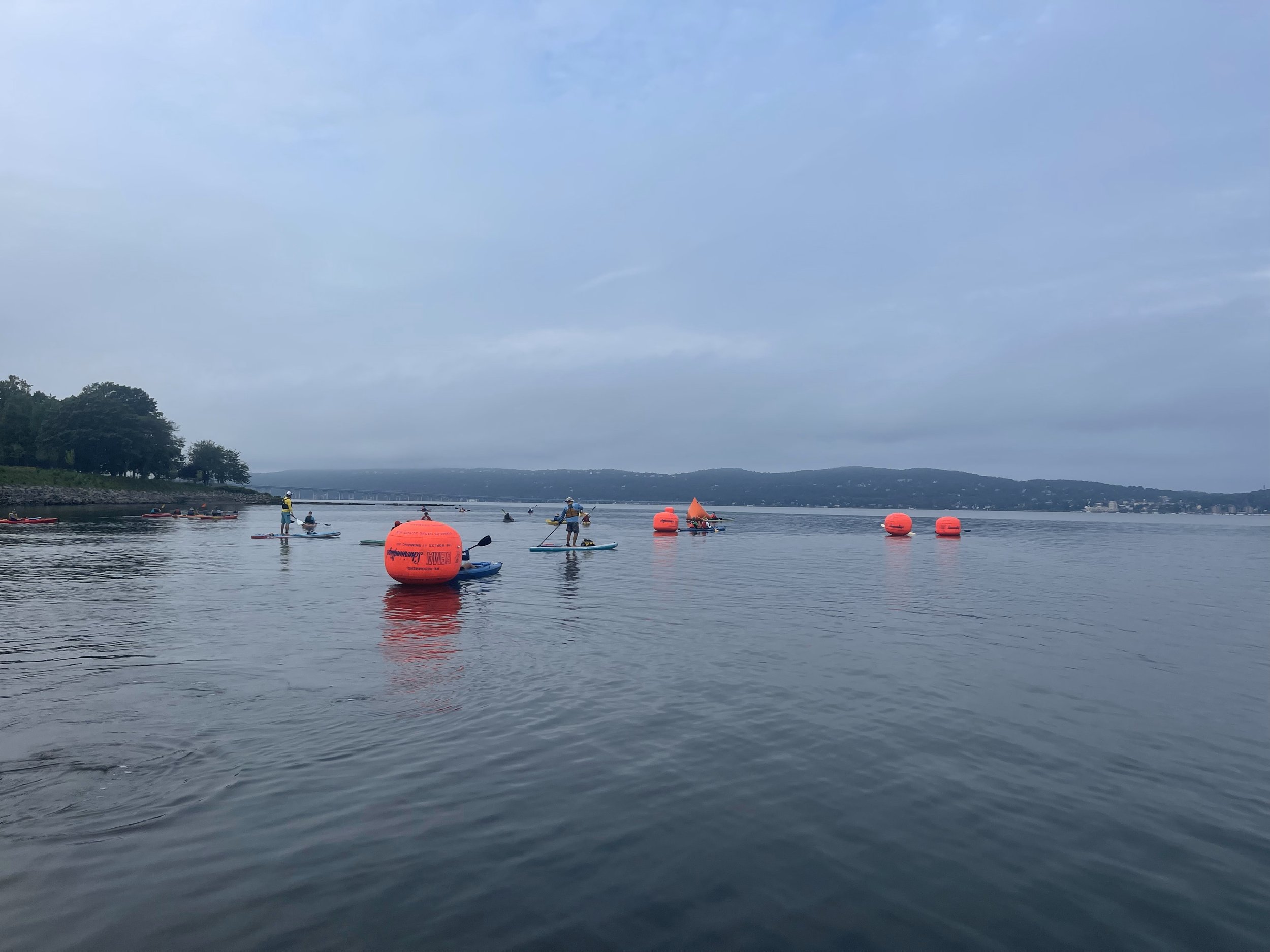 swim1.jpg