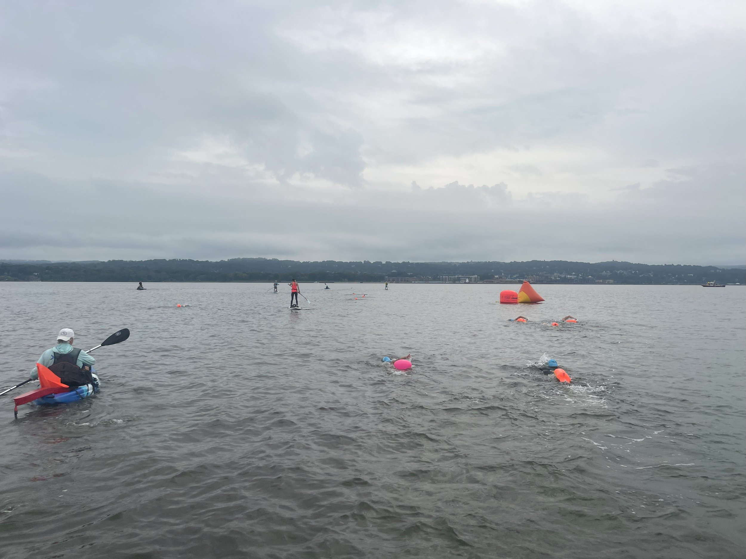 swim6.jpg