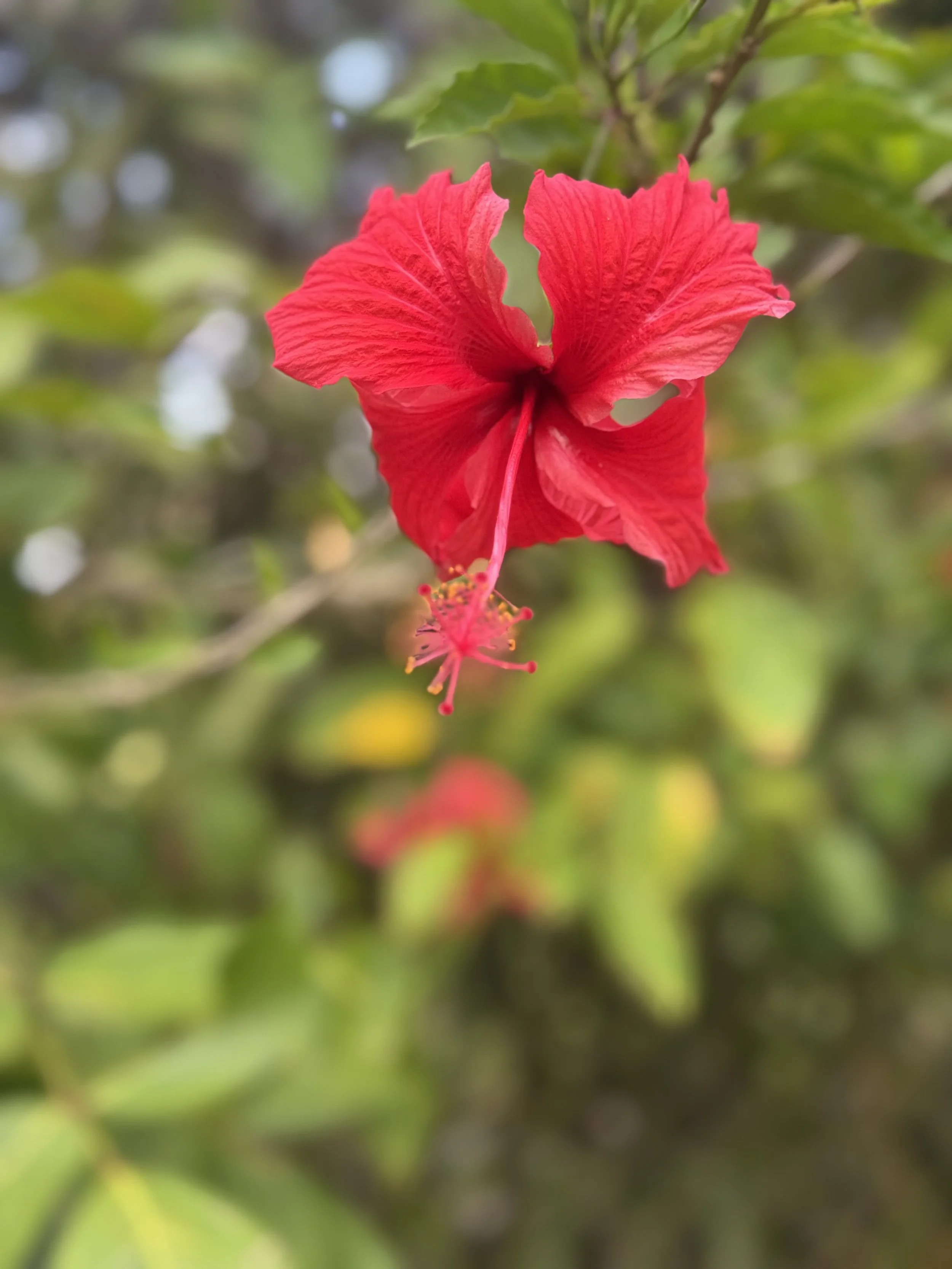IMG_9749.jpeg