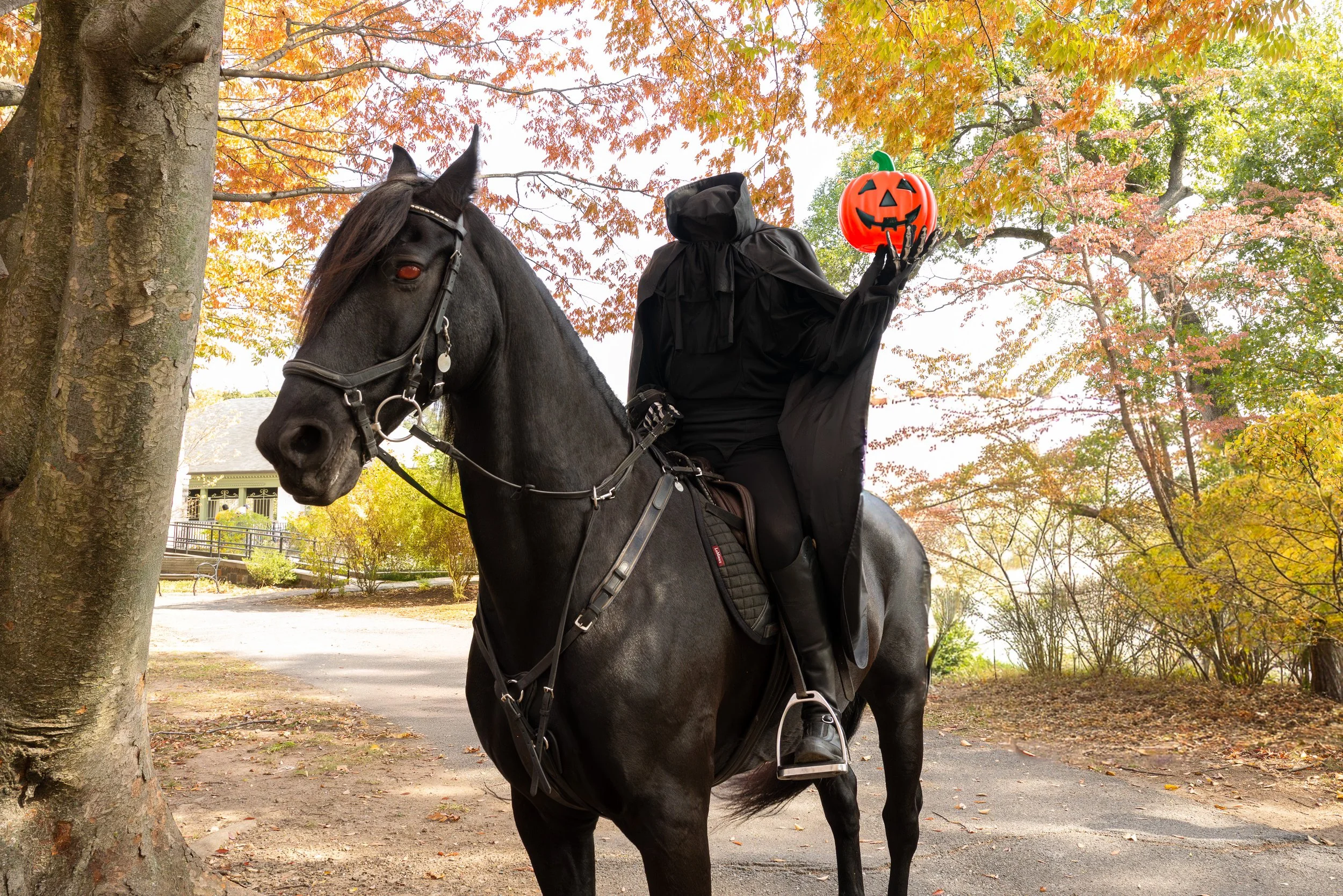 SUPWitches_MFox067-Edit.jpg