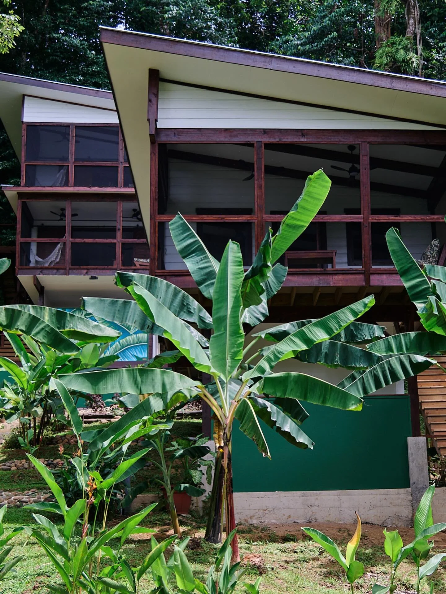 crecer and manifestar.jpg