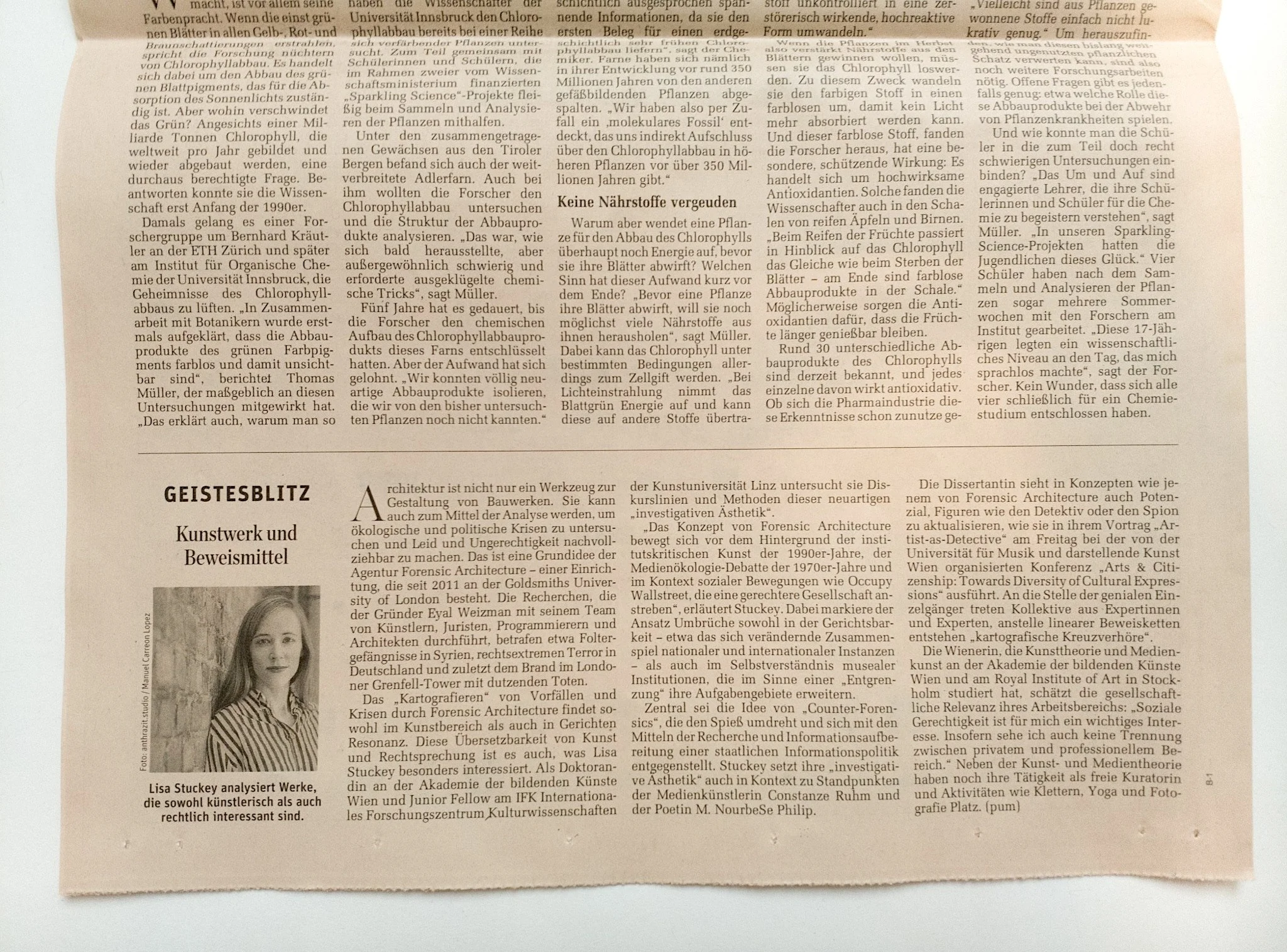 Kunstwerk-und-Beweismittel_DerStandard_Geistesblitz_Lisa-Stuckey-09012018.jpg