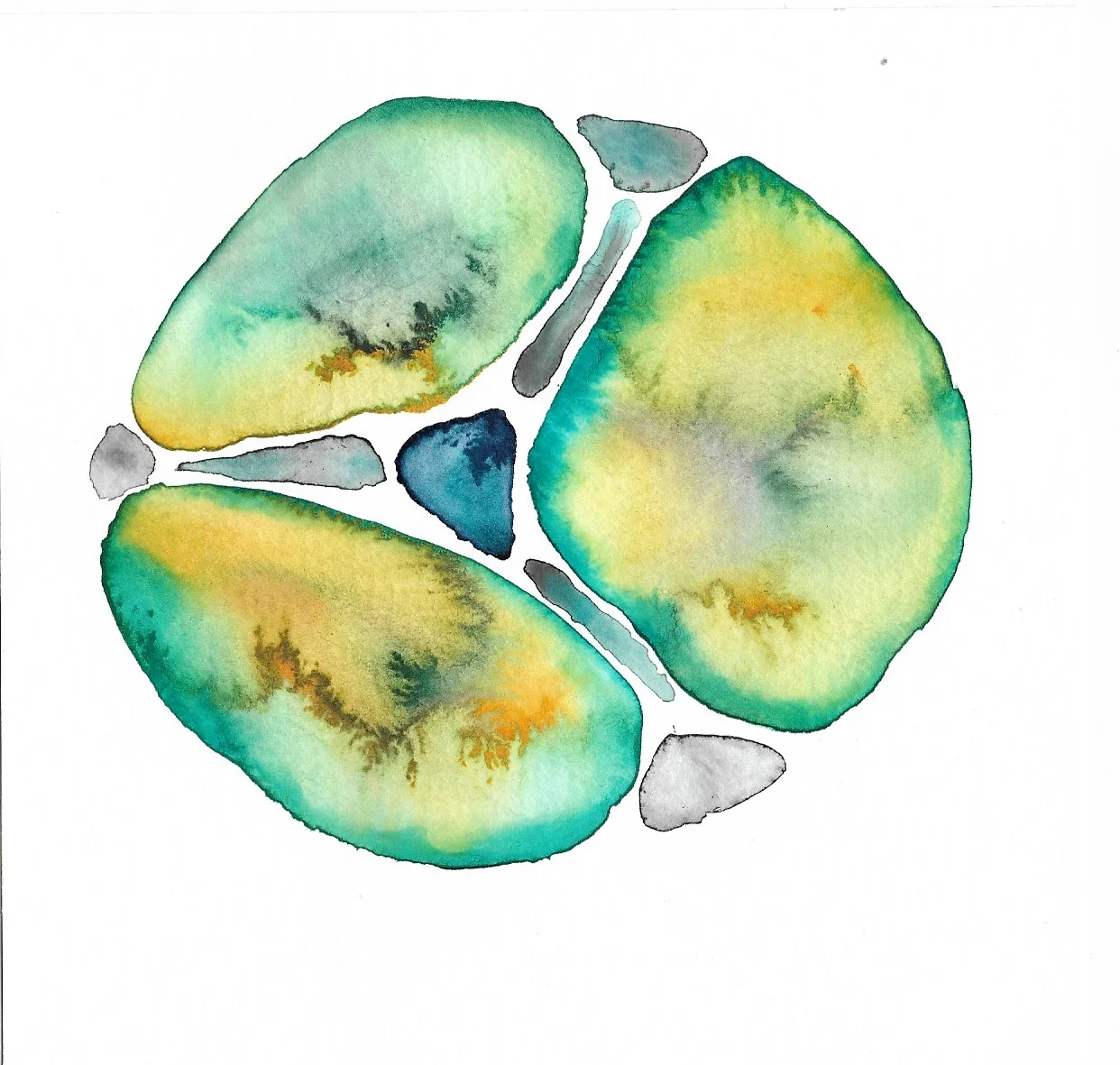 Lemongrass Structure