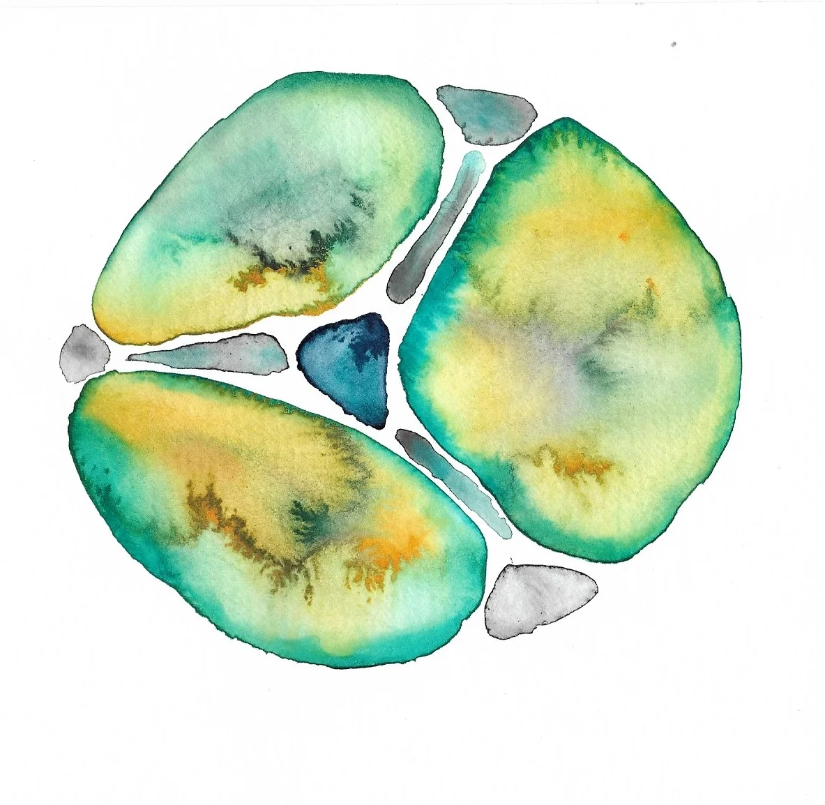 LemongrassStructure .jpg