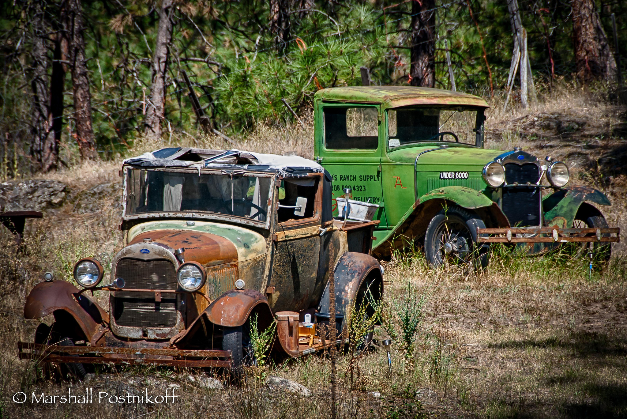 9510574277_93bac580a5_k.jpg