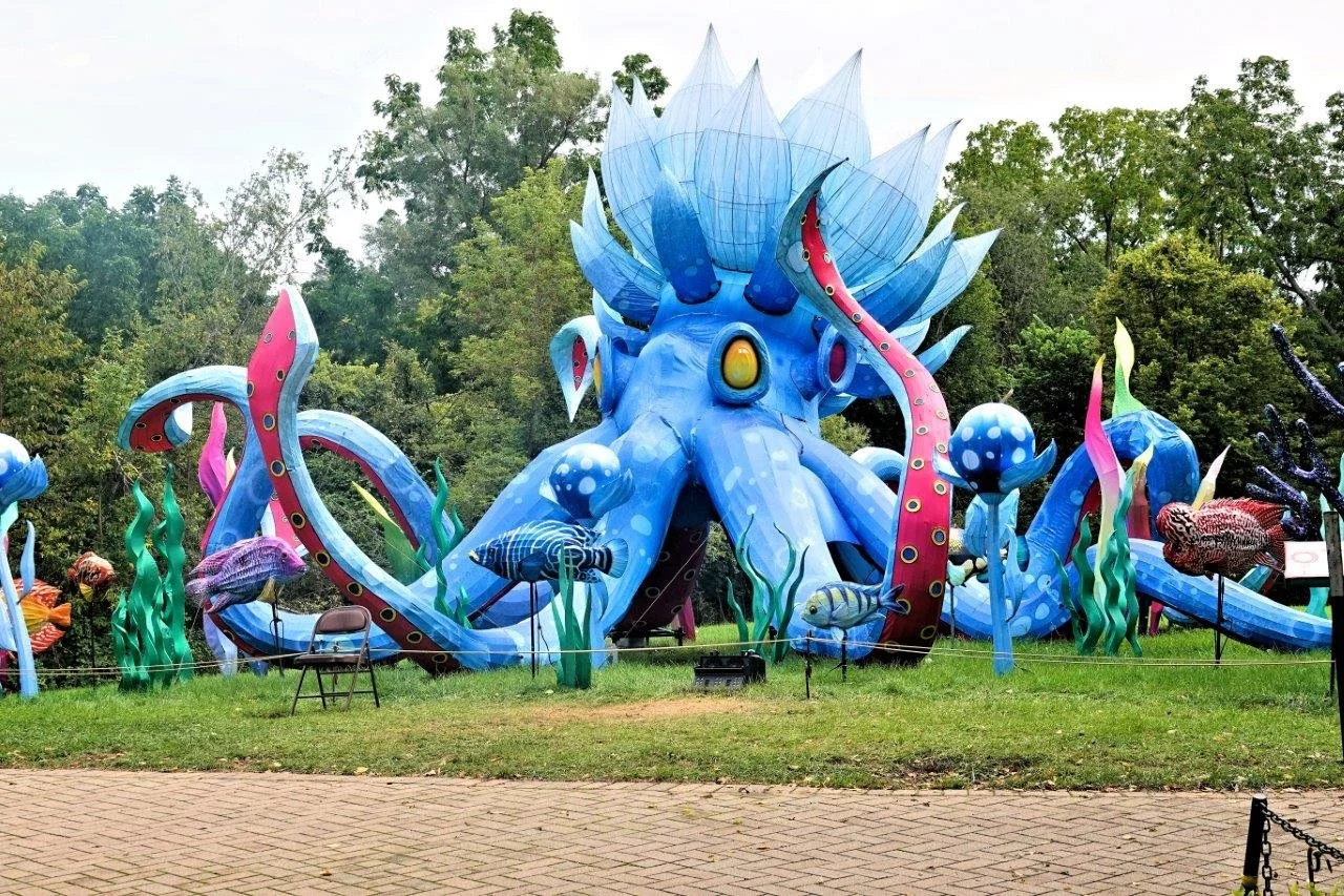 ADSC03091.jpg