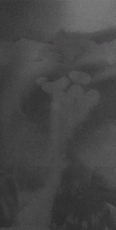 camera__exi2qfijti0y_xlarge_0001_Layer 5.jpg