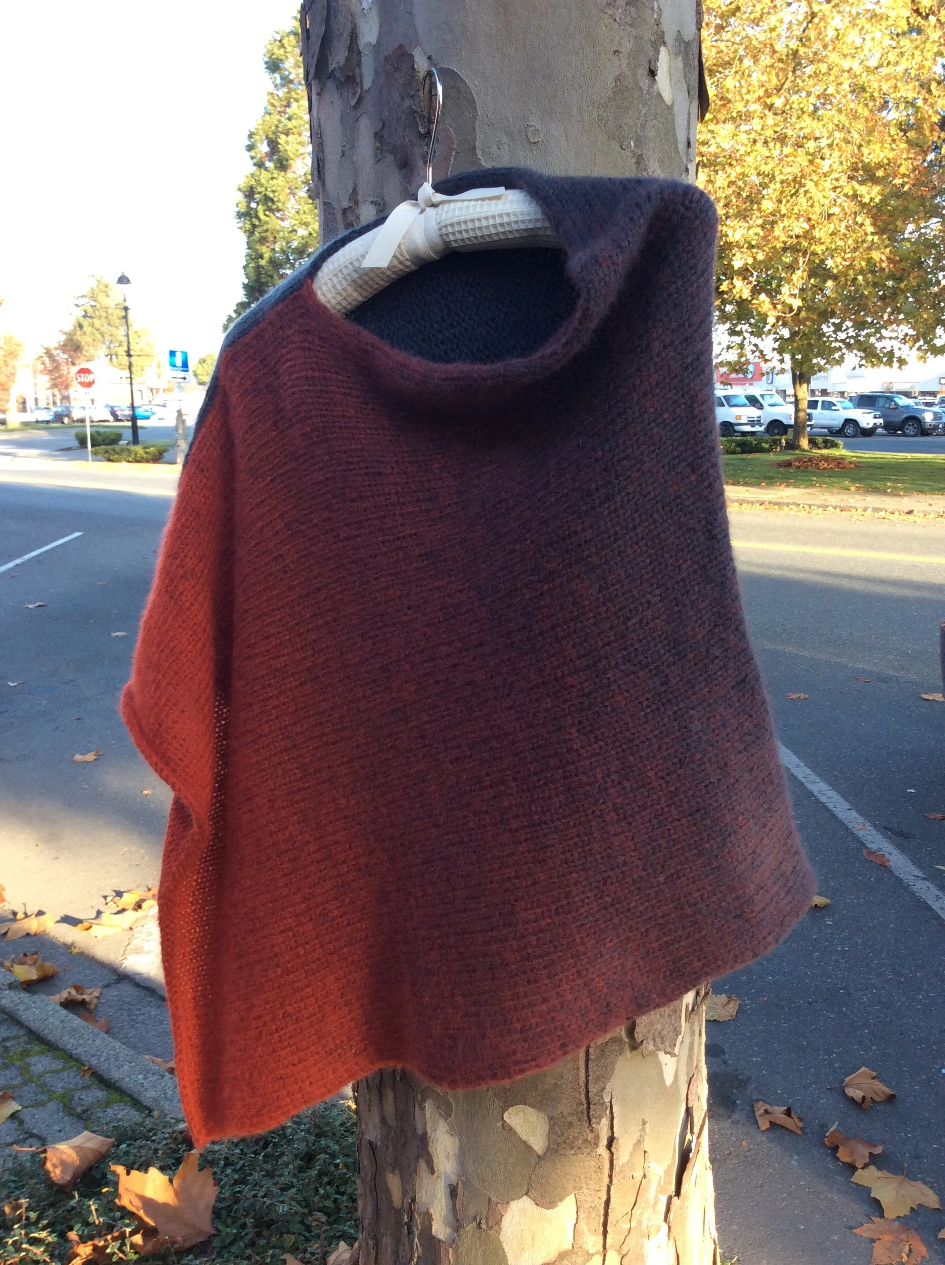Gala_Poncho2.jpg
