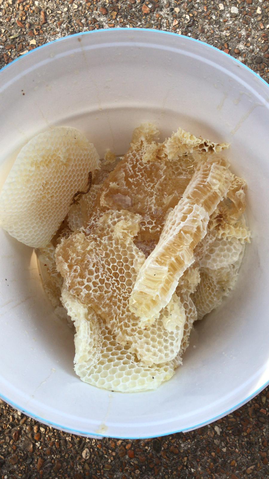 Honeycomb - The bees have over produced in 2018 and started to make their own honey reserves.