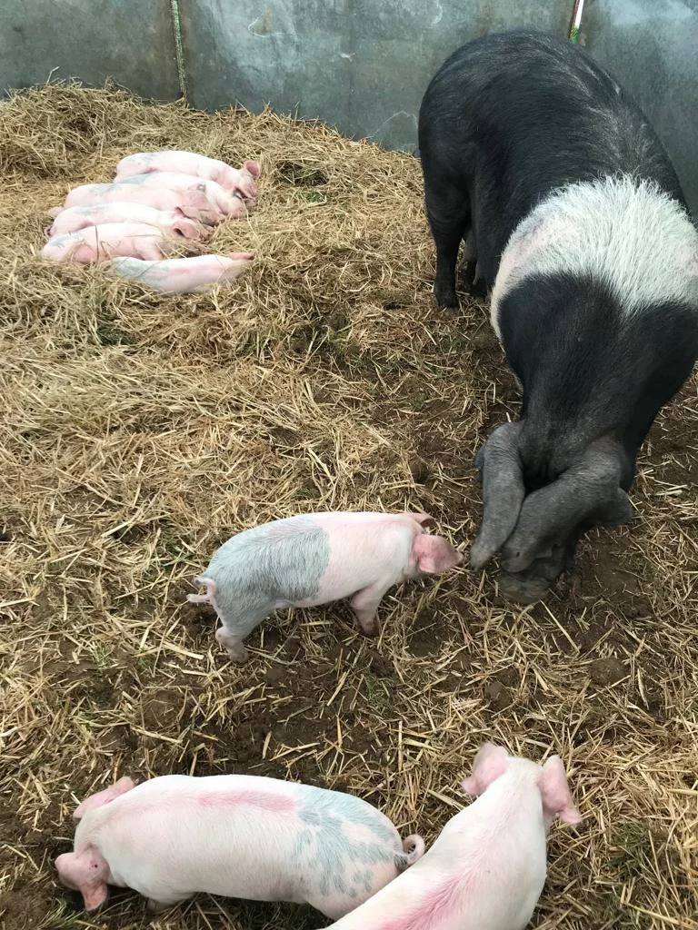 New partnership with Oathall Community College