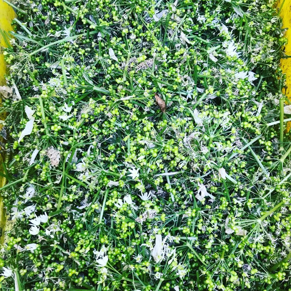 Join us at Full Circle Farms: We are recruiting