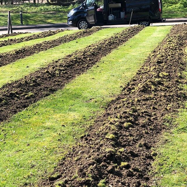 On sunny days like this you tend to forget about scary world we are all in at the moment. But that&rsquo;s what the garden has always been for me an escape from reality. #relax #breathe #unwind