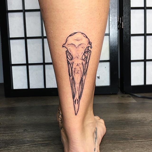 A small Western Gull skull for @ink_dotdot. Thank you for exchanging marine specimens with me, exposing me to different facet of tattooing, and for being the lovely, clever human you are. Here's to new tattoo friends and a commitment to never stop le
