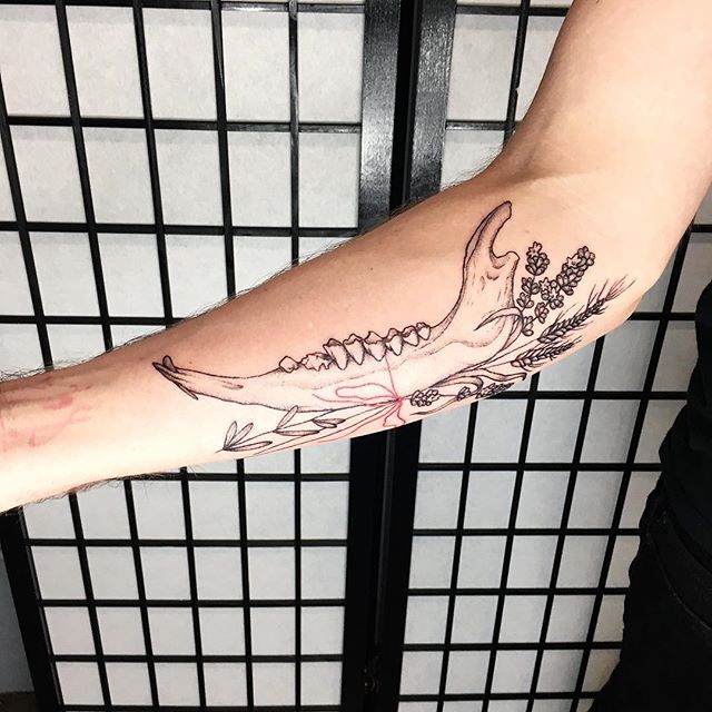 Goat jaw, barley, and lavender for @tukthepainaway. Thank you for letting me take a little creative liberty on your idea. May it bring you protection, happiness, and relentless creative energy for the rest of your days. Good luck with printmaking. Don't let the end product distract you. The maker is not always meant to understand why they are making. Sometimes the purpose reveals itself in time. Keep making anyways. Keep growing. Thank you for the trust! Best of luck with your art! 🌙 #tattoo #apprentice #apprenticetattoo #tattooapprentice #bone #jaw #goat #goatsofinstagram #barley #lavender #grateful #positivevibes #protection #creativeenergy #seattle #pnw #fremont #tygerwolftattoo #learningbydoing #menwithtattoos #inkedguys #womenwhotattoo #girlswhotattoo #thefutureisfemale