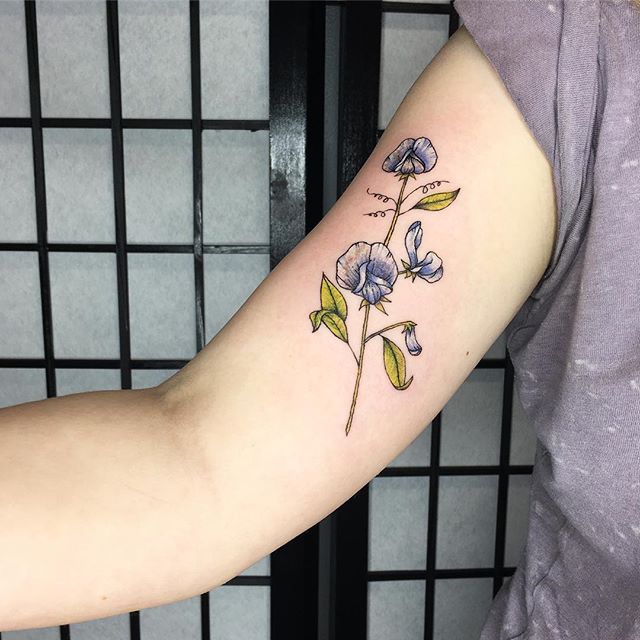 I got a chance to work on some colored sweet peas for Kaitlyn the other day. Thank you for the love, trust, and for the gifting me the opportunity to further cultivate my skills. I really enjoyed this. May it bring you courage and strength for the rest of your days. Good luck in school! 🌙 #tattoo #tattooapprentice #apprentice #apprenticetattoo #learning #learningbydoing #sweetpea #floraltattoo #botanicaltattoo #courage #strength #positivevibes #positiveomen #grateful #colortattoo #girlswithtattoos #seattle #pnw #fremont #happinessisafreshtattoo #girlswhotattoo #womenwhotattoo #thefutureisfemale