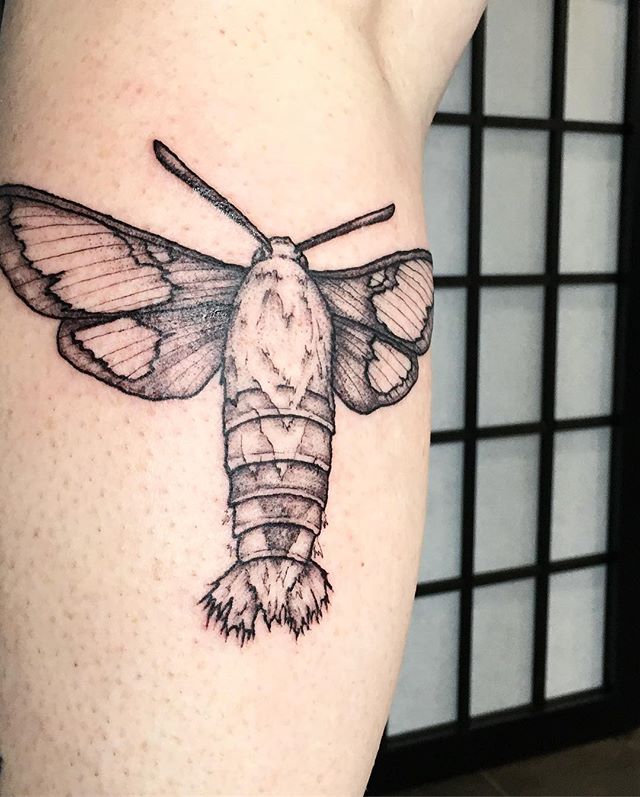 A hummingbird moth for Megan. Thank you for continuing to support my tattoo journey, and for all the amazing work you do for homeless pets in our community. I really enjoyed this one. More insects and arachnids please! 🌙 #tattoo #apprentice #tattooa