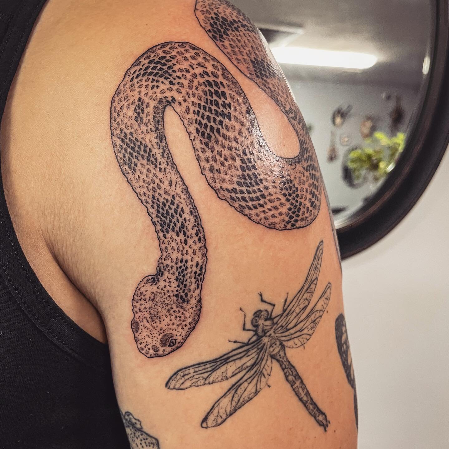 Rattle snakes make me think of the blazing sun&hellip; here&rsquo;s one for Joe ☀️ 
&bull;
&bull;
&bull;
#timberrattlesnake #rattlesnaketattoo #blackworknow #shouldertattoo #tttism