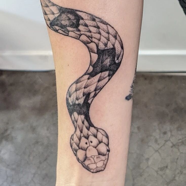 Slithering my way down to Phoenix, thinking of how much fun we had doing this snake. Thanks for the trust and fun @__hannahtovar 
#snaketattoo #blackandgreytattoo #yourmom #inkart #tattoo #seattletattoo