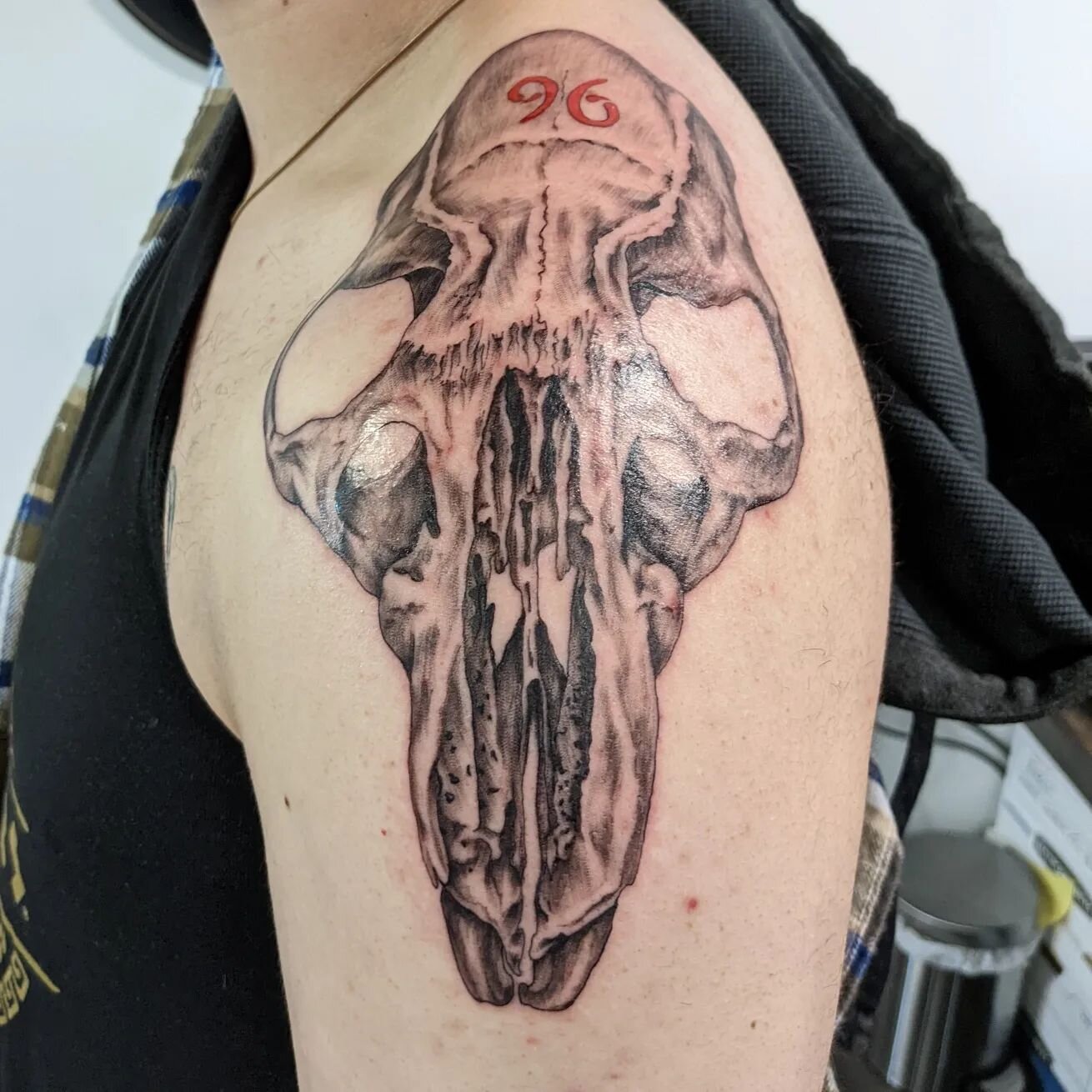 Rats!
Rat skull for the delightful @seandsmiles and It me! with a WIP from the so talented @alfonsogarcialettering 

#tacomatattooartist #greyshadetattoo #ratart #phoenixtattoo