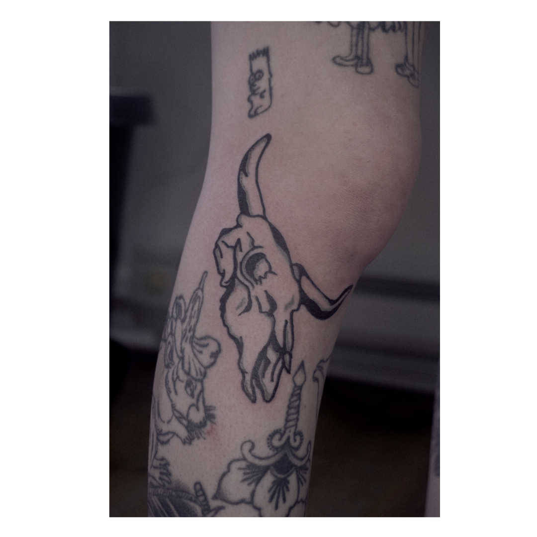 IMG_2908.PNG