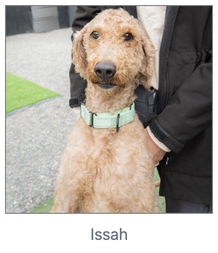 Issah