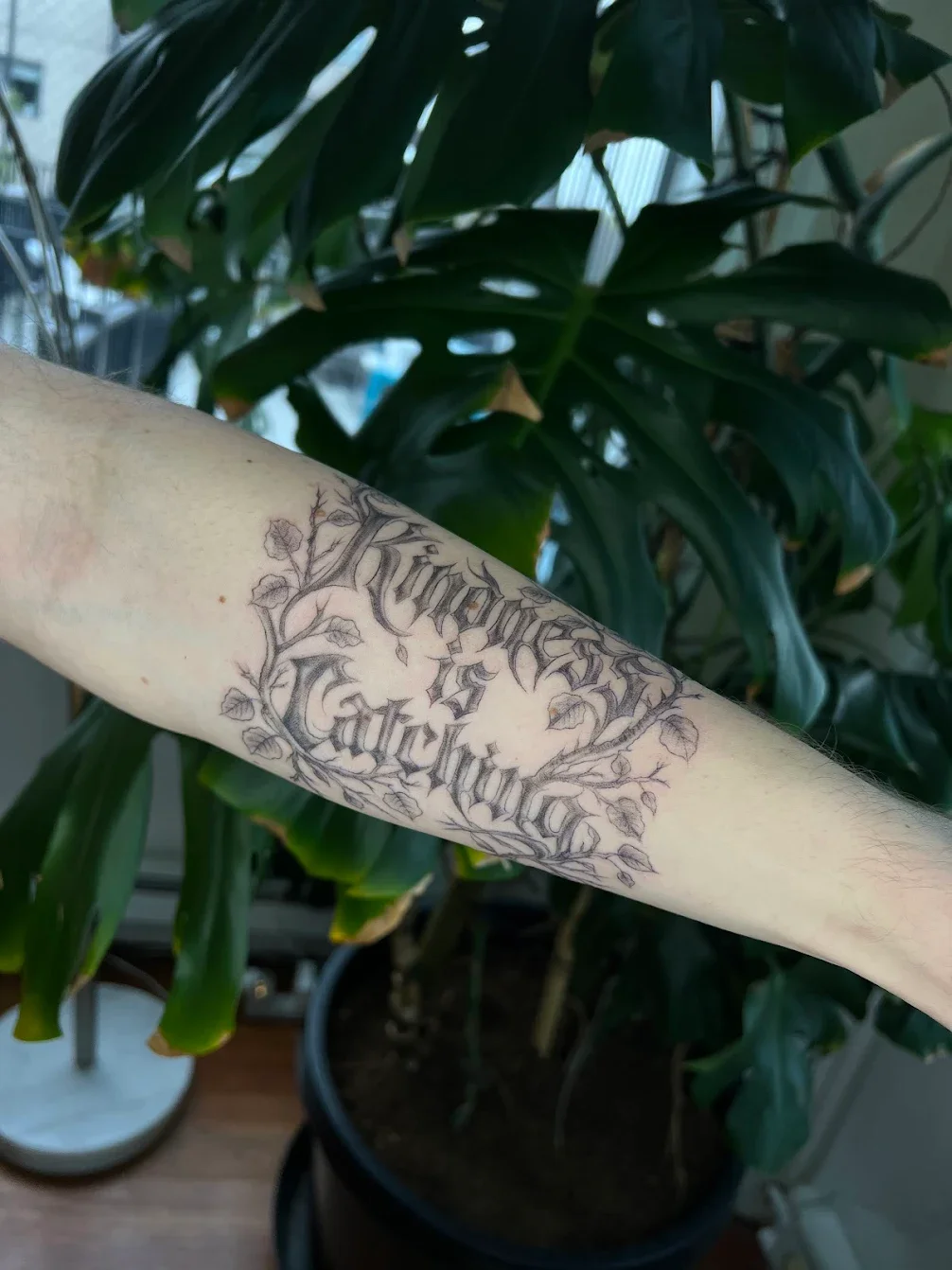 Jordi-tattoo-tacoma-review