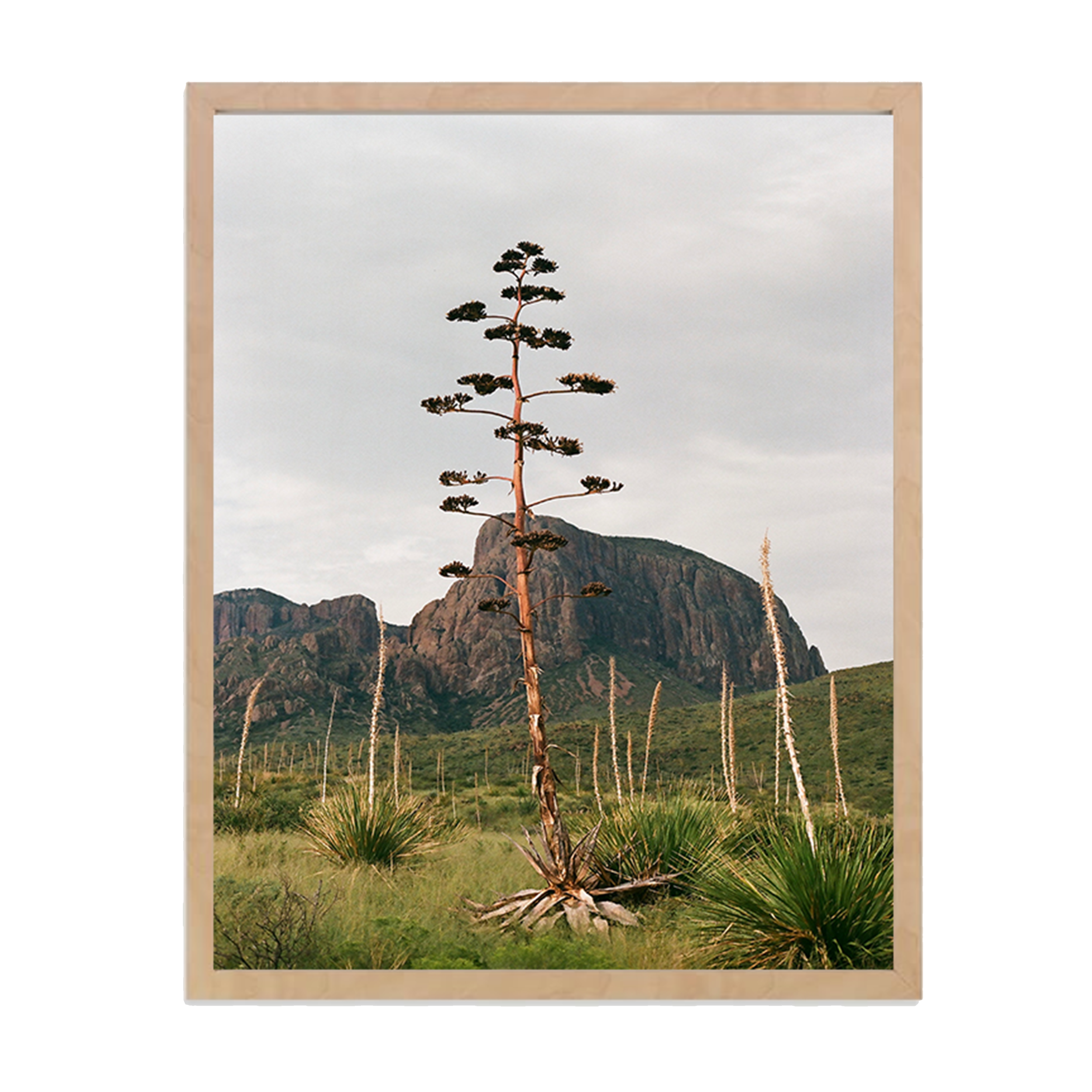 16x24 Framed Print - "2nd Century" 