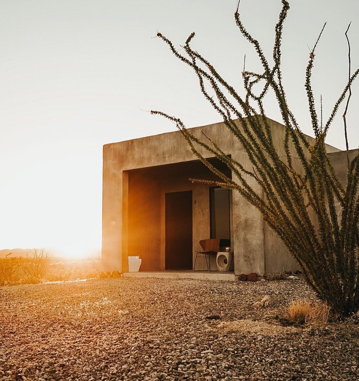 Warmer weather in Texas. Hopefully we start to see some green after all the snow. Looking forward to spring in the desert. @abstractconformity 📷