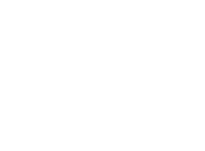 Enshroud mark - 300.png