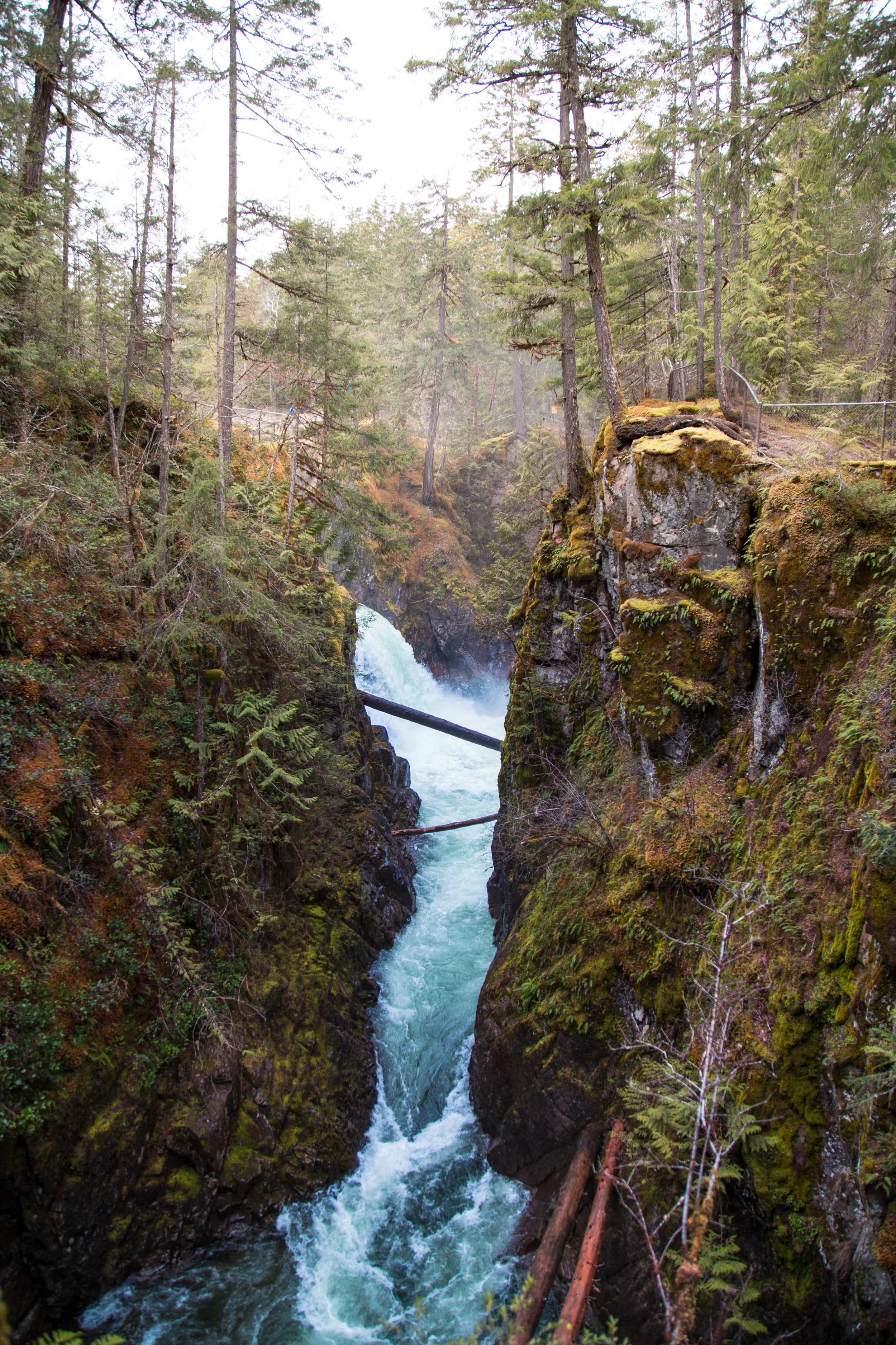 Falls - Mike.jpg