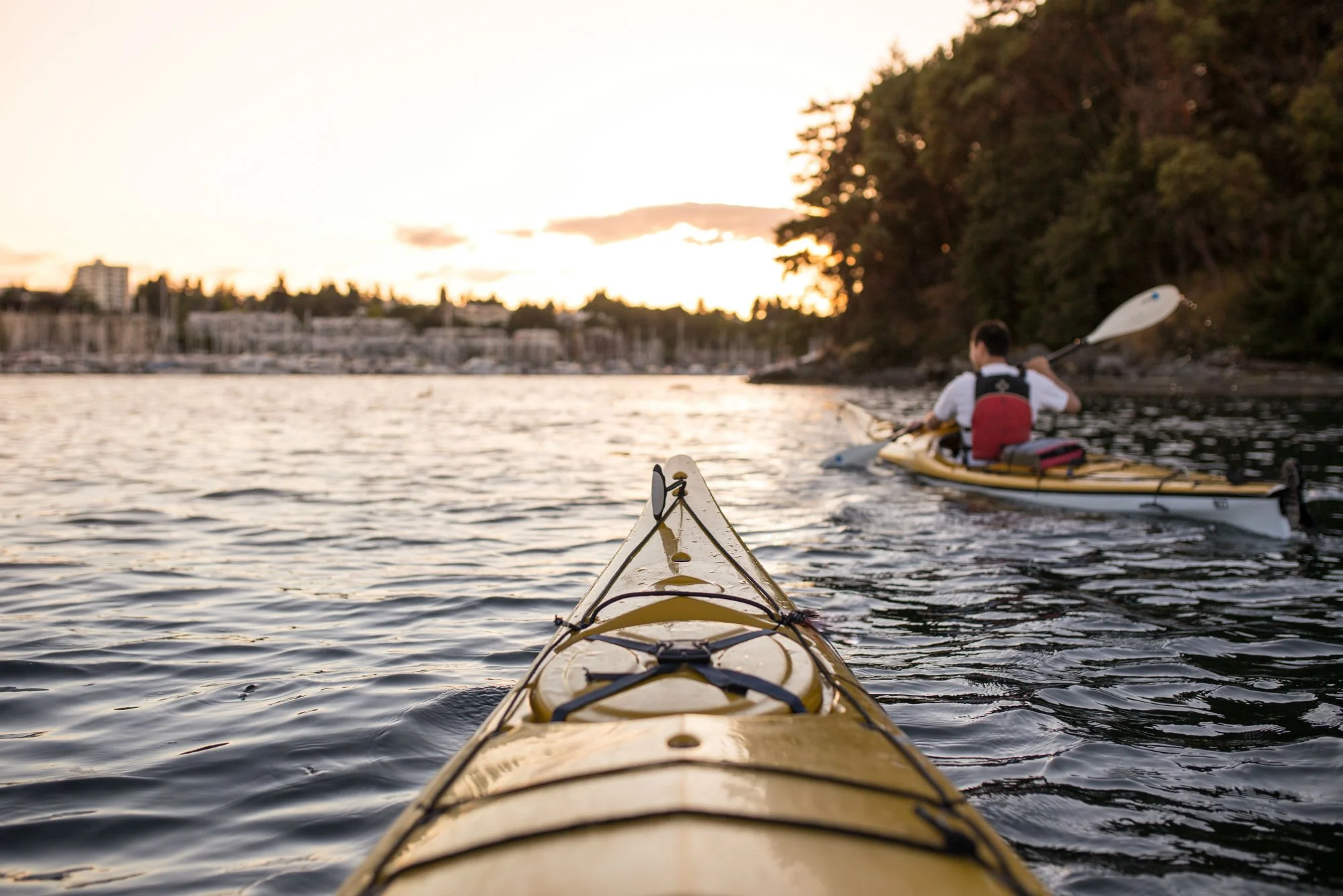 Kayaking-in-harbour-Anderson-md.jpg