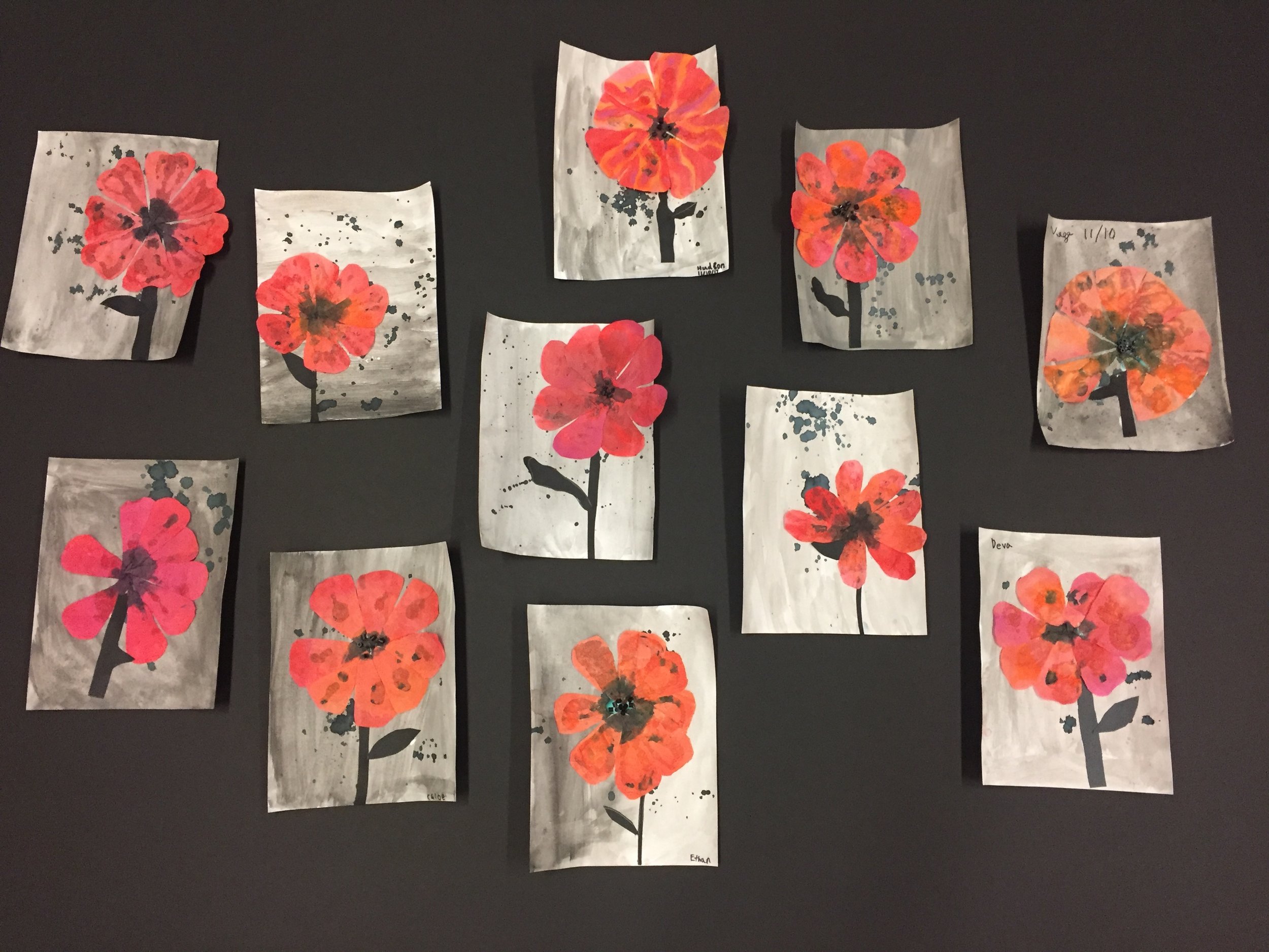 (1) Poppies for Veterans.JPG