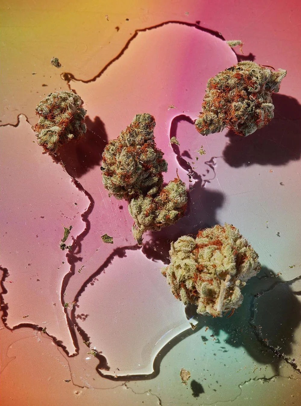 david-brandon-weed-photography-2-1.jpg