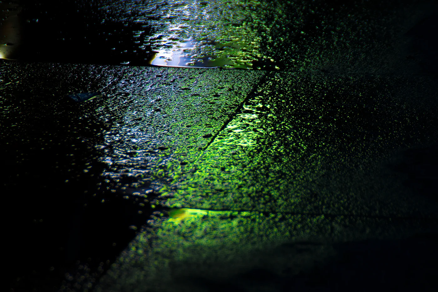 wet-neon-local-preacher-photography-7.jpg